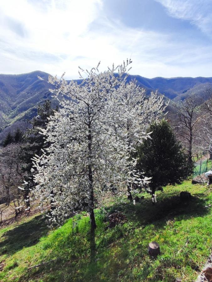 Albergo Ristorante La Selva Orsigna Εξωτερικό φωτογραφία